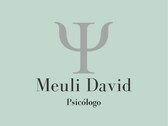 Meuli David
